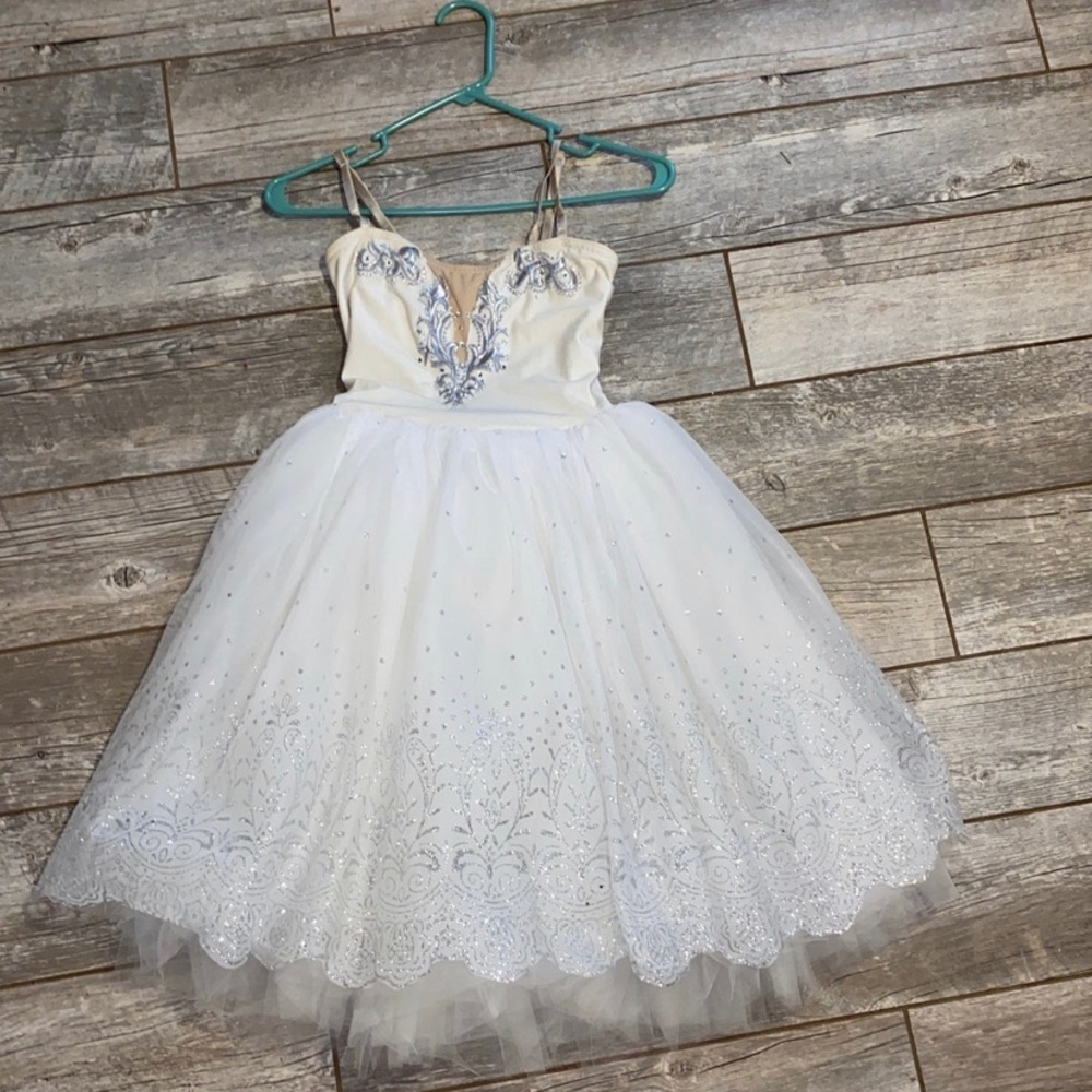 Beautiful dance costume
